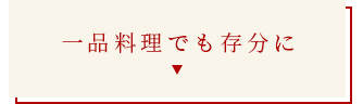 一品料理でも存分に