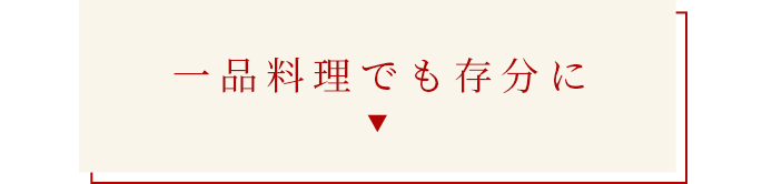 一品料理でも存分に