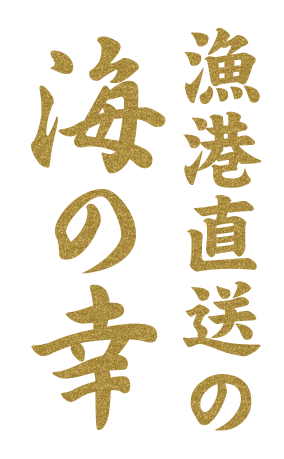 漁港直送の海の幸